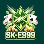 E999 Game icon
