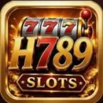 H789 Game icon