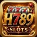 H789 Game icon